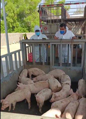 1654933553479567.png bb8df5078c3985568c19def1c5ca685.png